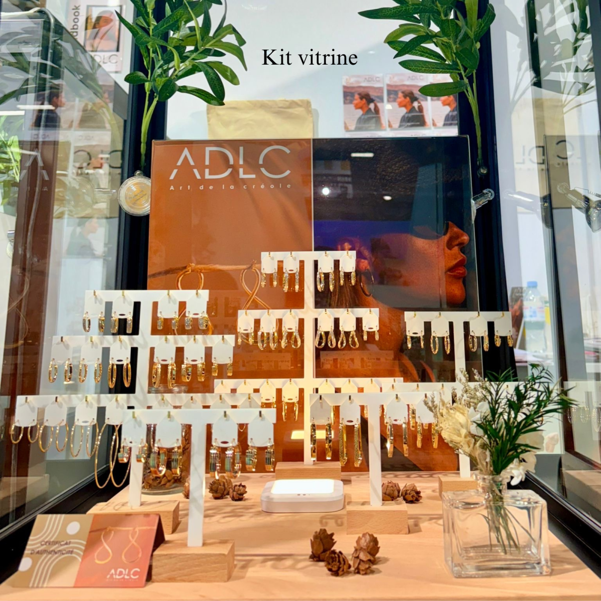 kit vitrine