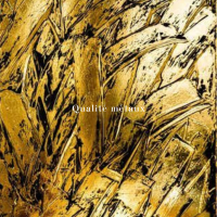 Nos prestations sur le secteur de à Monaco